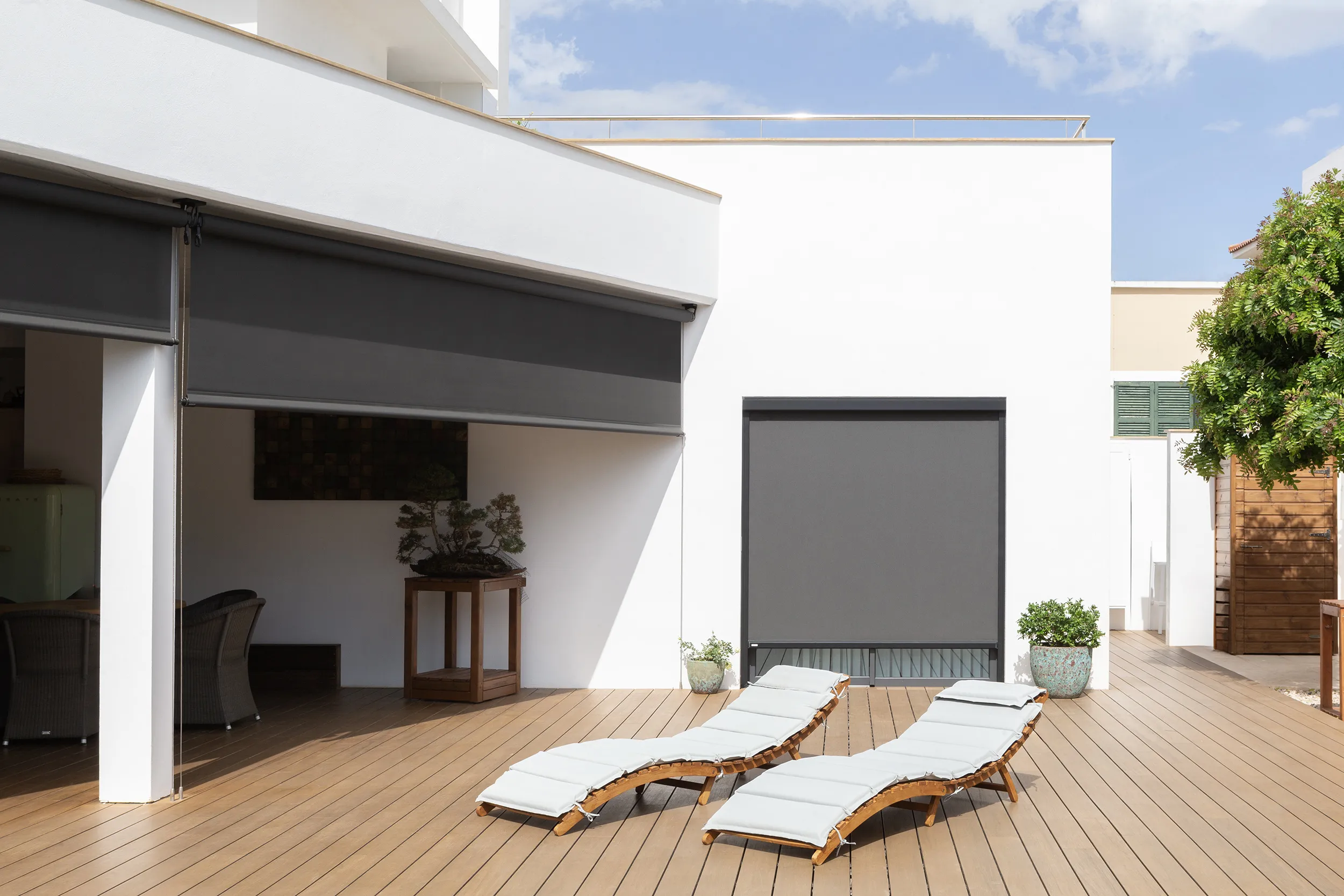 Zip roller shades - Bandalux